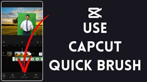 what is quick brush in capcut e